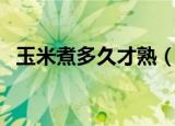 玉米煮多久才熟（玉米一般要煮多久能熟）