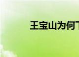 王宝山为何下课（王宝山辞职）