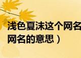 浅色夏沫这个网名是什么意思（浅色夏沫这个网名的意思）