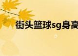 街头篮球sg身高（街头篮球后卫身高）