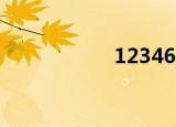 123462（123462）