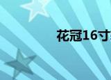 花冠16寸轮毂（花冠1 6）