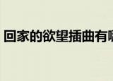 回家的欲望插曲有哪些（回家的欲望片尾曲）
