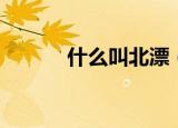 什么叫北漂（他们有什么特点）