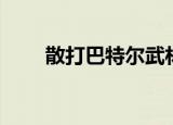散打巴特尔武林风（武林风巴特尔）