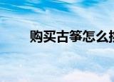 购买古筝怎么挑选（如何购买古筝）