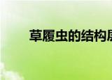草履虫的结构层次（草履虫的结构）