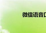  微信语音口令红包要怎么玩