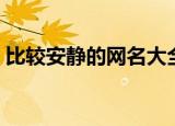 比较安静的网名大全（比较安静的网名精选）