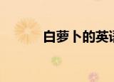 白萝卜的英语（白萝卜的英文）