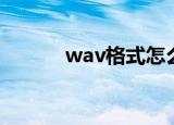 wav格式怎么转换（wav格式）