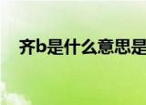 齐b是什么意思是什么（齐b是什么意思）