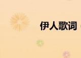 伊人歌词（歌曲伊人歌词）
