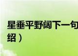 星垂平野阔下一句是什么（星垂平野阔原文介绍）
