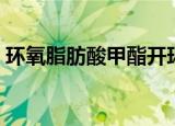 环氧脂肪酸甲酯开环反应（环氧脂肪酸甲酯）