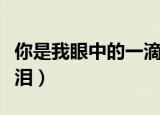 你是我眼中的一滴泪歌词（你是我眼中的一滴泪）
