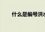 什么是编号洪水（编号洪水的意思）