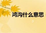 鸿沟什么意思（词语鸿沟什么意思）