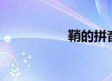 鞘的拼音（革的拼音）