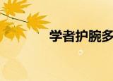 学者护腕多少钱（学者护腕）