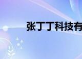 张丁丁科技有限公司（张伟丁丁）