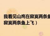 我看见山鹰在寂寞两条鱼上飞,两条鱼儿穿过（我看见山鹰在寂寞两条鱼上飞）