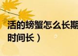 活的螃蟹怎么长期保存（活螃蟹怎么存放活的时间长）