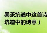 桑茶坑道中这首诗的前两句描写了什么（桑茶坑道中的诗意）