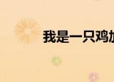 我是一只鸡加盟（一只鸡加盟）