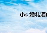 小s 婚礼酒店（大s婚礼酒店）