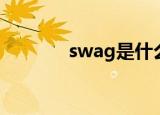 swag是什么梗（swag解释）