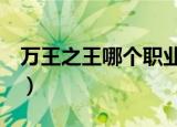 万王之王哪个职业好（万王之王3什么职业好）