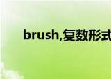 brush,复数形式（brush的复数形式）