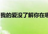 我的爱没了解你在哪一个世界歌词是什么意思
