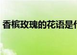 香槟玫瑰的花语是什么（香槟玫瑰花语介绍）