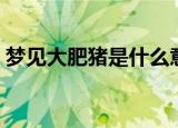 梦见大肥猪是什么意思（为什么梦见大肥猪）