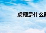 虎鞭是什么器官（虎鞭是什么）