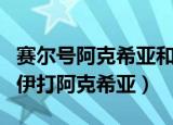 赛尔号阿克希亚和雷伊是什么关系（赛尔号雷伊打阿克希亚）