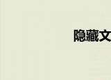  隐藏文件是什么意思