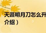 天涯明月刀怎么升级快（天涯明月刀升级方法介绍）