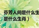 芬芳人间是什么生肖数字问爱知识（芬芳人间是什么生肖）
