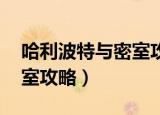 哈利波特与密室攻略 魁地奇（哈利波特与密室攻略）