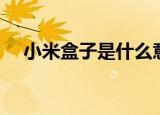 小米盒子是什么意思（小米盒子是什么）