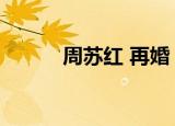 周苏红 再婚（周苏红汤淼离婚）
