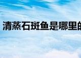 清蒸石斑鱼是哪里的菜系（清蒸石斑鱼介绍）