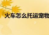 火车怎么托运宠物（火车托运宠物的方法）