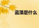 蓝藻是什么（蓝藻的主要价值）