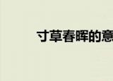 寸草春晖的意思（寸草春晖典故）