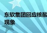 东软集团回应核酸检测系统响应延迟、卡顿等现象