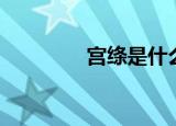 宫绦是什么朝代的（宫绦）